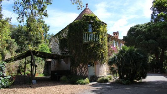 Une parenthèse gustative au cœur du Domaine du Rayol