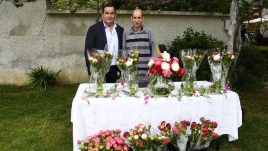 Max Bauer : « Quel point commun entre la pivoine, le liège et la Villa Noailles » ?