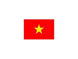 Les femmes au Vietnam, piliers de la famille dans la paix et le combat.