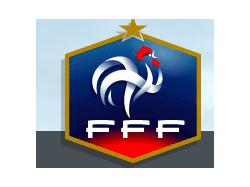 Match numérique : la FFF dématérialise son Comité Exécutif et son Bureau Exécutif de la Ligue du Football Amateur avec Leading Boards