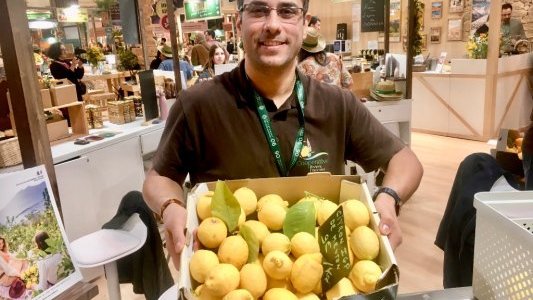 Menton : Prix citron pour l'expert-comptable !