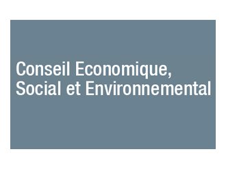 Le Conseil économique et social intervient dans le débat sur l'emploi