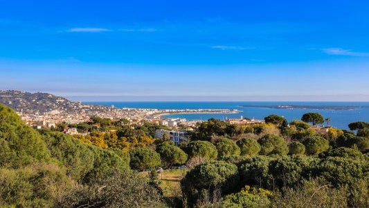 La Mairie de Cannes adhère à l'association des Communes Forestières des Alpes-Maritimes 