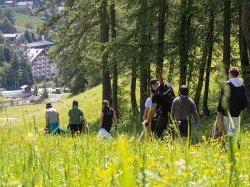 Opération « Montagne Zéro Déchet » à Valberg : 100 kilos de déchets sauvages ramassés