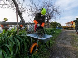 Solidarité : Force 06 déployée sur l'exploitation sinistrée de Frédéric Nicolet à Antibes