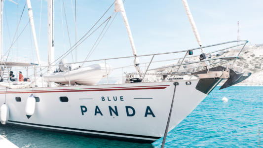 Pollution plastique en Méditerranée : La Métropole Nice Côte d'Azur s'engage aux côtés du WWF France