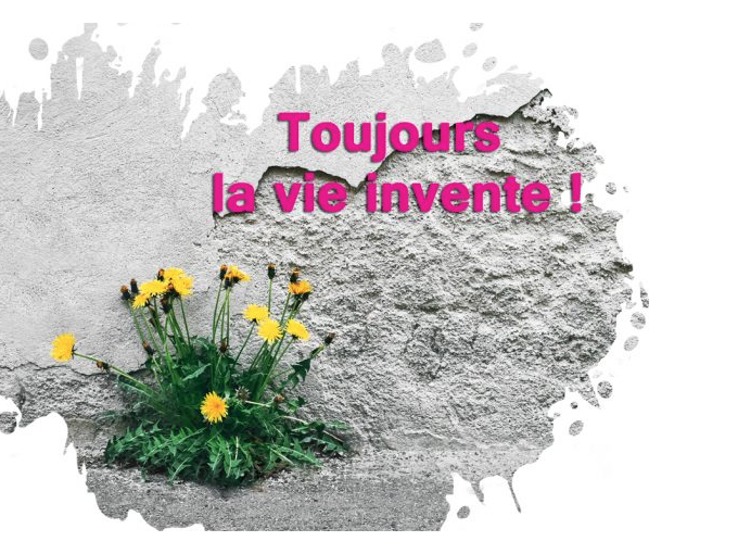 34e Festival du livre (…)