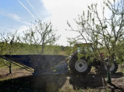  Le Roy René concrétise son pari de l'amande 100 % provençale