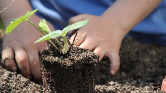 Cannes : 18 nouveaux jardins familiaux pour le bonheur des jardiniers amateurs