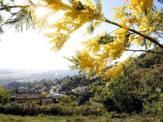 Mandelieu-la-Napoule rejoint le cercle des villes 4 Fleurs en Région Sud