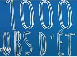 1000 jobs d'été à Cannes, venez trouver le votre !