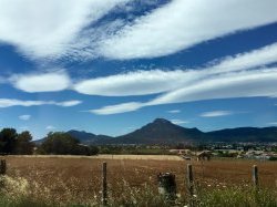 En région Sud, une campagne inédite sur les pesticides dans l'air