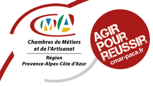 Les apprentis de la région PACA s'affrontent pour une place en finale du tournoi de l'ANDSA-MAAF