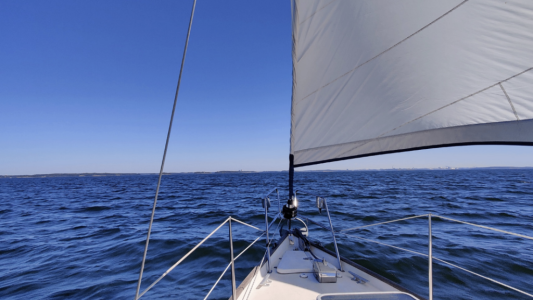 Économie bleue : les Alpes-Maritimes à l'heure de la transition environnementale