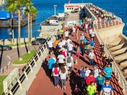 Top départ de la prochaine No Finish Line Monaco le 12 novembre exclusivement en présentiel 