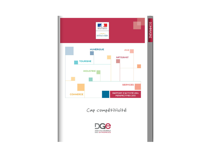 La DGE publie son rapport