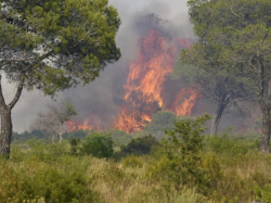  La région Sud asphyxiée par un cocktail de fumées d'incendies
