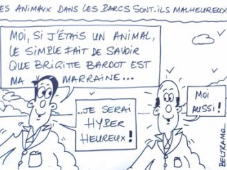 Le JJB du jour de @jjbeltramo !