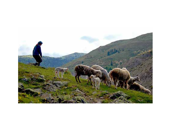 Berger : le bonheur (…)