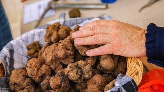 À Saint-Jean-Cap-Ferrat, la truffe locale s'invite au cœur du village