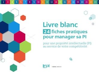 L'INPI lance le 1er guide du management de la propriété industrielle (gratuit)