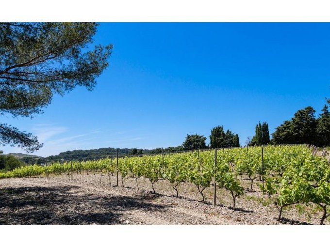 Sur l'île Paul Ricard, un