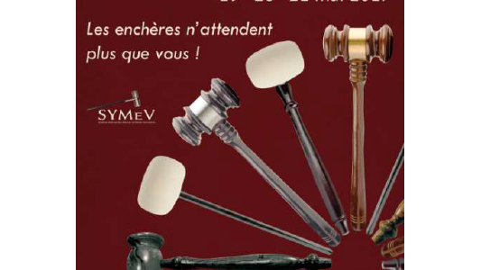 Journées Marteau : les ventes aux enchères n'attendent plus que vous les 19, 20, 21 mai !