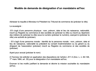 Demande de désignation d'un mandat ad hoc