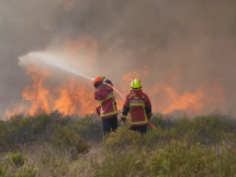 Canicules et incendies, la Fondation de France lance un appel à la générosité