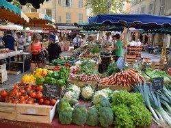 Domaine public et redevances