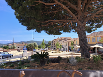 À Bormes-les-Mimosas, Le Pin de Bormes, place centrale du village