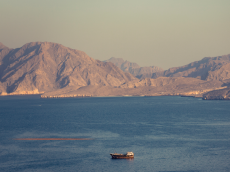 L'essentiel de l'actualité de ce mercredi 4 mars