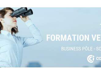 Formation CCI : Faire de la veille comme les grandes entreprises... C'est possible !
