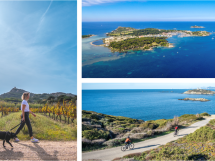 Cap sur l'île des Embiez pour une journée d'évasion