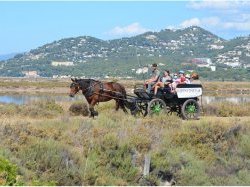 A Hyères, Les Salins, un site remarquable et exceptionnel
