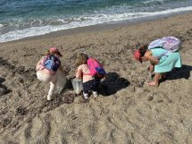 Au Pradet, une action de sensibilisation pour un littoral plus propre
