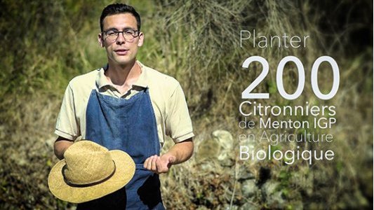 A 25 ans, son business c'est le citron de Menton et il lance une campagne de crowdfunding