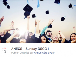À Nice le dimanche on révise le DSCG à plusieurs avec l'ANECS pour plus de motivation !