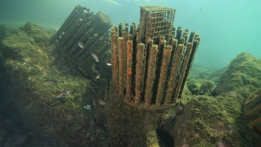 45 % des petits fonds côtiers encore menacés par les activités sur le littoral