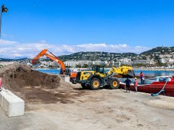 À Cannes les posidonies échouées sont remises à l'eau pour préserver l'écosystème marin 