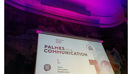 Palmarès Palmes de la Communication 2018 : Catégorie INSTITUTIONNEL les 3 lauréats sont...