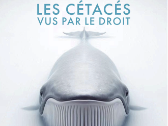 Colloque multidisciplinaire : "Les cétacés vus par le droit", le 23 mai à la faculté de Droit