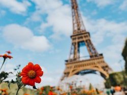 Changement climatique : La France doit investir plus