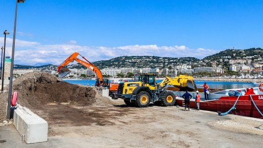 À Cannes les posidonies échouées sont remises à l'eau pour préserver l'écosystème marin 