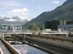 Les variants du Covid traqués dans les eaux usées