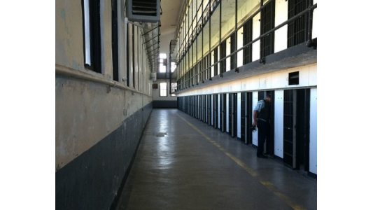 Prisons : la chèvre et le chou