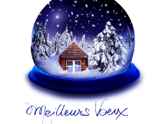 Meilleurs vœux… 2021 !