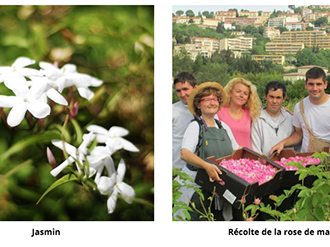 Les Savoir-faire liés au Parfum en Pays de Grasse, prochaine candidature française2017/2018 sur la liste du Patrimoine Immatériel de L'Humanité [UNESCO]