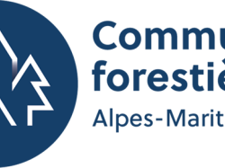 Forêt, climat, énergie : les élus des Communes forestières se réunissent pour leur assemblée générale à Nice le 28 avril