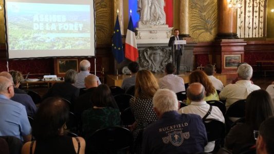 Alpes-Maritimes : une feuille de route à l'horizon 2035 pour adapter la forêt au changement climatique